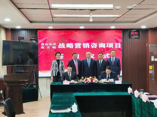 南方略咨询助力蓝山屯河 从线索到回款全流程变革与环保咨询服务落地